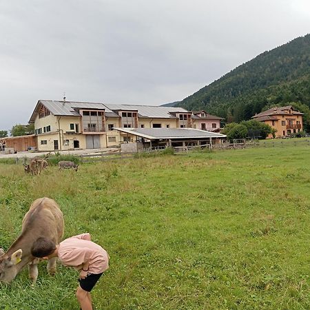 Maso Torbiera- Rural And Mountain Lodging Fiavè Exterior foto