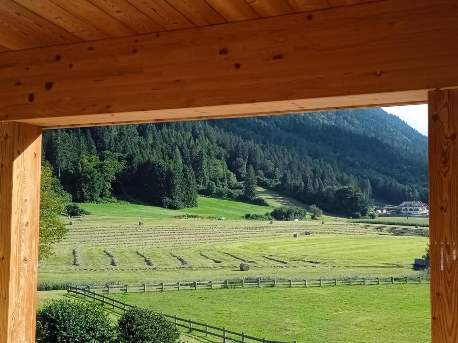 Maso Torbiera- Rural And Mountain Lodging Fiavè Exterior foto